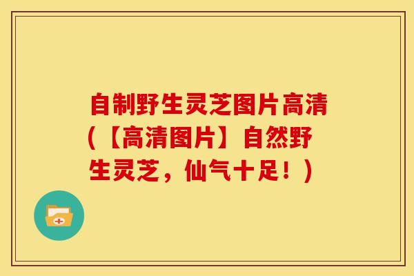 自制野生灵芝图片高清(【高清图片】自然野生灵芝，仙气十足！)