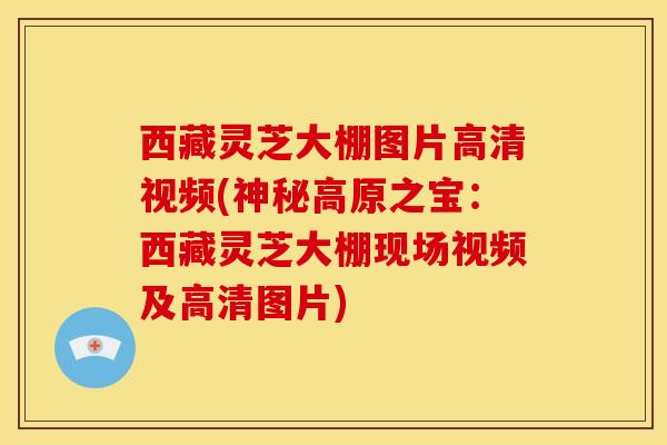 西藏灵芝大棚图片高清视频(神秘高原之宝:西藏灵芝大棚现场视频及高清图片)
