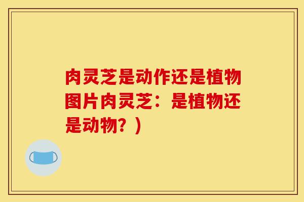 肉灵芝是动作还是植物图片肉灵芝：是植物还是动物？)