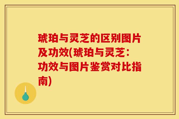 琥珀与灵芝的区别图片及功效(琥珀与灵芝:功效与图片鉴赏对比指南)