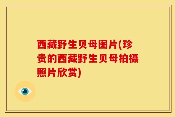 西藏野生贝母图片(珍贵的西藏野生贝母拍摄照片欣赏)