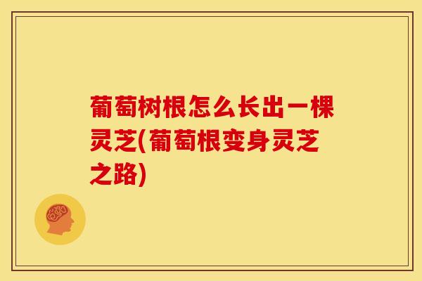 葡萄树根怎么长出一棵灵芝(葡萄根变身灵芝之路)