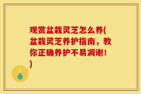观赏盆栽灵芝怎么养(盆栽灵芝养护指南，教你正确养护不易凋谢！)