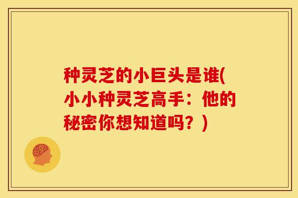 种灵芝的小巨头是谁(小小种灵芝高手：他的秘密你想知道吗？)