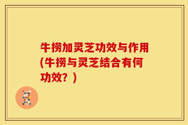 牛捞加灵芝功效与作用(牛捞与灵芝结合有何功效？)