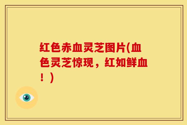 红色赤血灵芝图片(血色灵芝惊现,红如鲜血!)