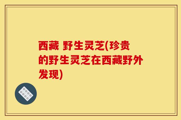 西藏 野生灵芝(珍贵的野生灵芝在西藏野外发现)
