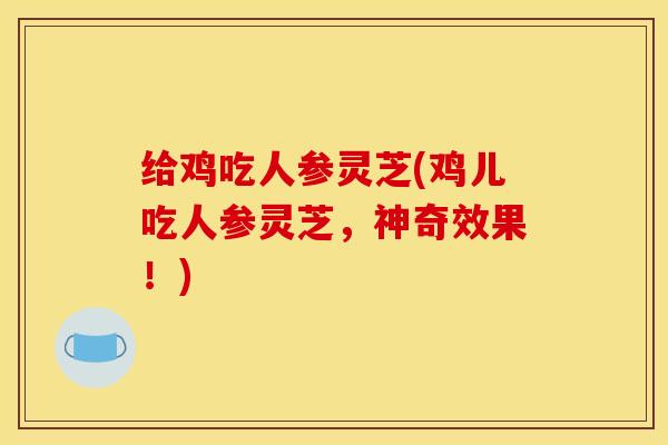 给鸡吃人参灵芝(鸡儿吃人参灵芝，神奇效果！)