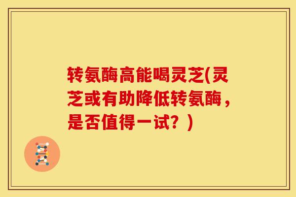 转氨酶高能喝灵芝(灵芝或有助降低转氨酶,是否值得一试?)