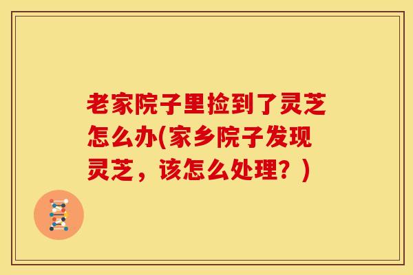 老家院子里捡到了灵芝怎么办(家乡院子发现灵芝,该怎么处理?)