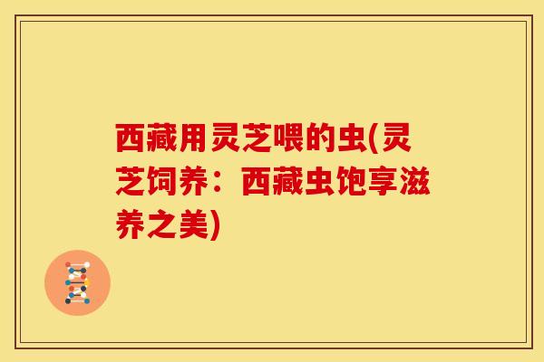 西藏用灵芝喂的虫(灵芝饲养:西藏虫饱享滋养之美)