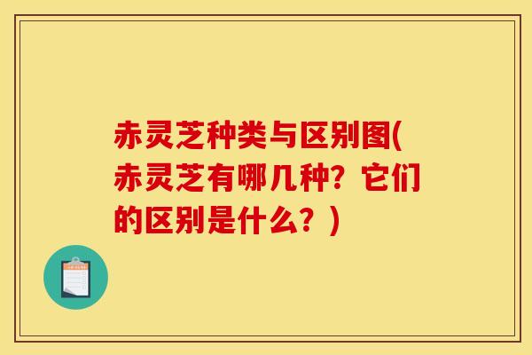 赤灵芝种类与区别图(赤灵芝有哪几种?它们的区别是什么?)