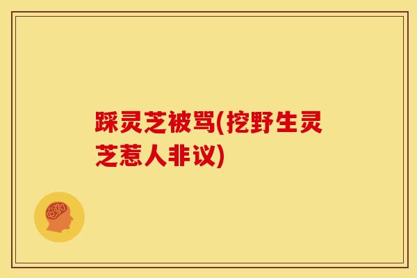 踩灵芝被骂(挖野生灵芝惹人非议)