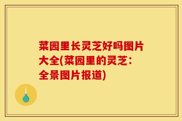 菜园里长灵芝好吗图片大全(菜园里的灵芝：全景图片报道)