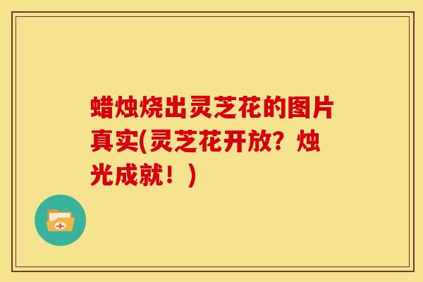 蜡烛烧出灵芝花的图片真实(灵芝花开放?烛光成就!)