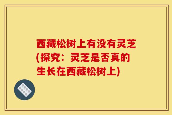 西藏松树上有没有灵芝(探究：灵芝是否真的生长在西藏松树上)