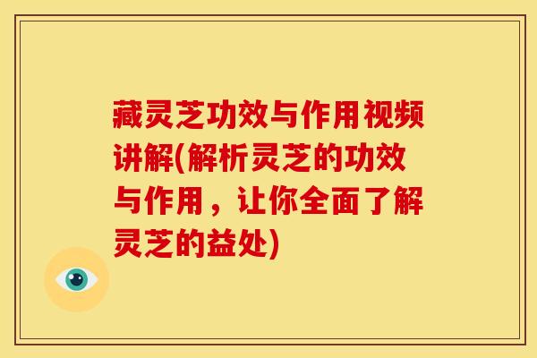 藏灵芝功效与作用视频讲解(解析灵芝的功效与作用,让你全面了解灵芝的益处)