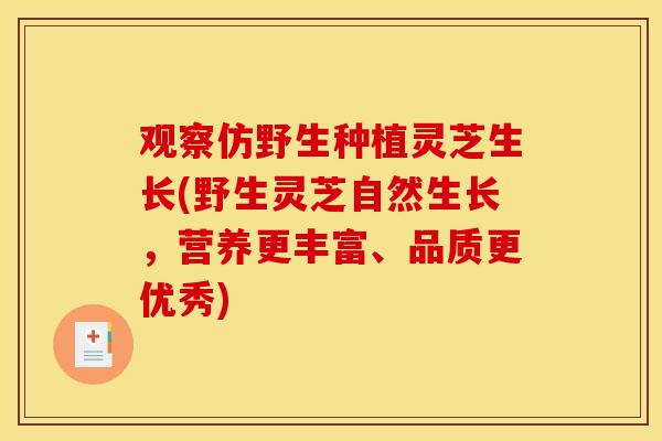 观察仿野生种植灵芝生长(野生灵芝自然生长，营养更丰富、品质更优秀)