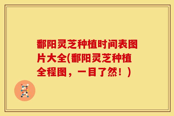 鄱阳灵芝种植时间表图片大全(鄱阳灵芝种植全程图，一目了然！)