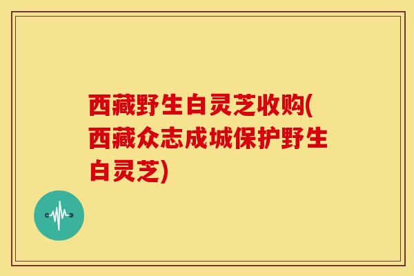 西藏野生白灵芝收购(西藏众志成城保护野生白灵芝)