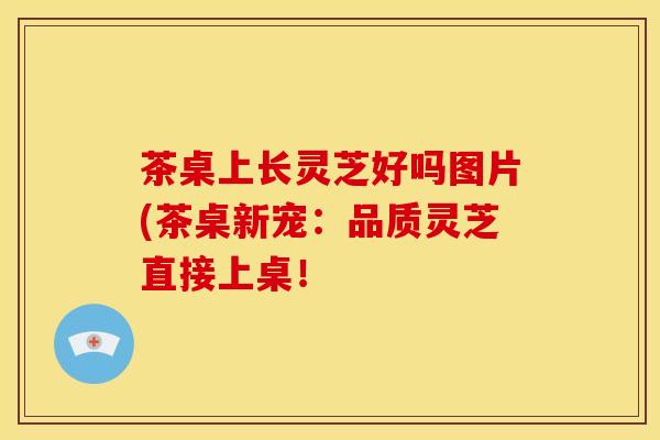 茶桌上长灵芝好吗图片(茶桌新宠：品质灵芝直接上桌！
