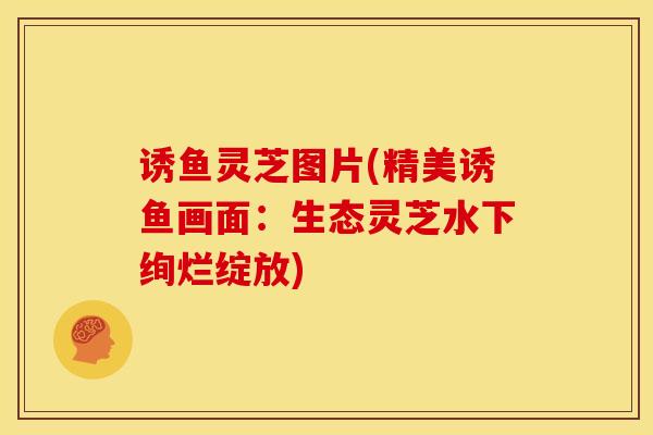 诱鱼灵芝图片(精美诱鱼画面:生态灵芝水下绚烂绽放)