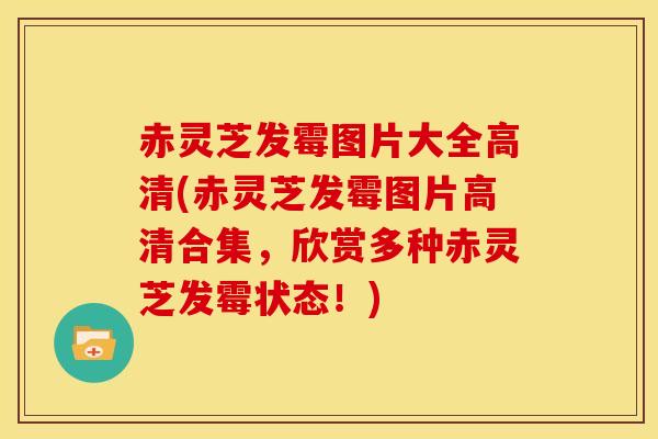 赤灵芝发霉图片大全高清(赤灵芝发霉图片高清合集,欣赏多种赤灵芝发霉状态!)