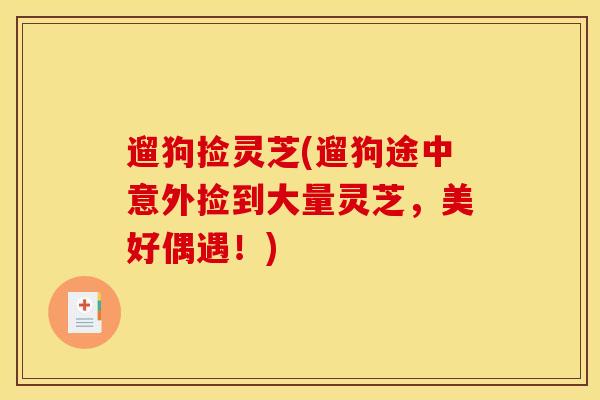 遛狗捡灵芝(遛狗途中意外捡到大量灵芝,美好偶遇!)