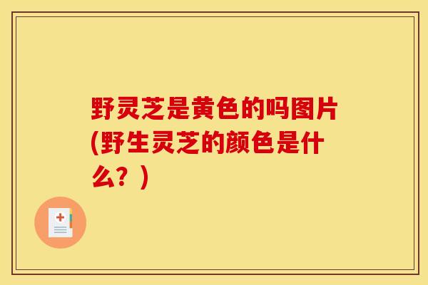 野灵芝是黄色的吗图片(野生灵芝的颜色是什么?)