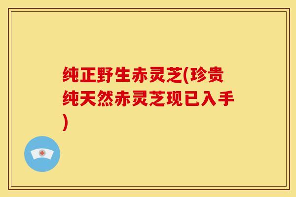 纯正野生赤灵芝(珍贵纯天然赤灵芝现已入手)