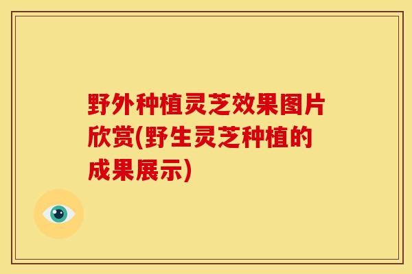 野外种植灵芝效果图片欣赏(野生灵芝种植的成果展示)
