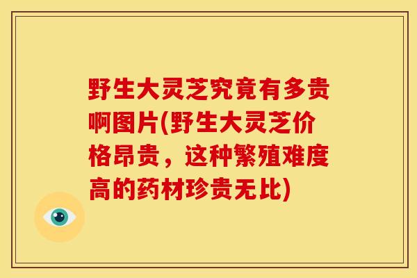 野生大灵芝究竟有多贵啊图片(野生大灵芝价格昂贵,这种繁殖难度高的药材珍贵无比)