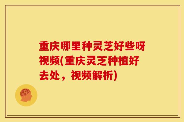 重庆哪里种灵芝好些呀视频(重庆灵芝种植好去处,视频解析)