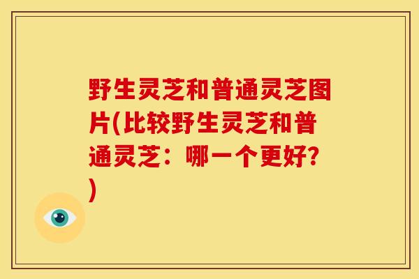 野生灵芝和普通灵芝图片(比较野生灵芝和普通灵芝：哪一个更好？)