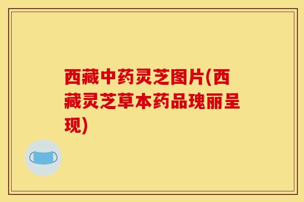 西藏中药灵芝图片(西藏灵芝草本药品瑰丽呈现)