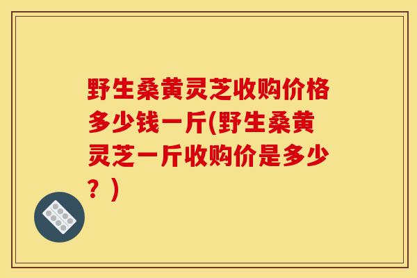 野生桑黄灵芝收购价格多少钱一斤(野生桑黄灵芝一斤收购价是多少?)