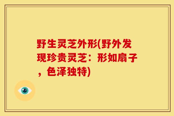 野生灵芝外形(野外发现珍贵灵芝:形如扇子,色泽独特)