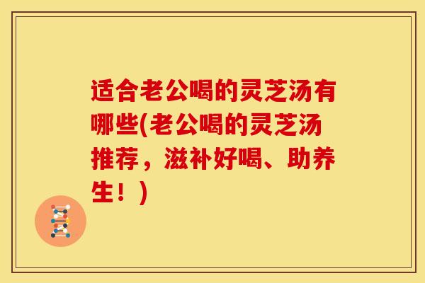 适合老公喝的灵芝汤有哪些(老公喝的灵芝汤推荐,滋补好喝、助养生!)