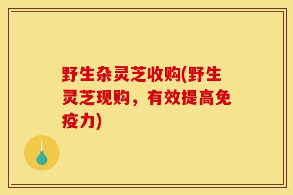 野生杂灵芝收购(野生灵芝现购,有效提高免疫力)