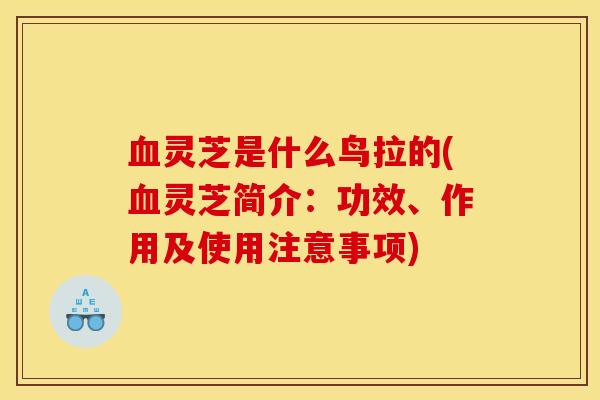 血灵芝是什么鸟拉的(血灵芝简介:功效、作用及使用注意事项)