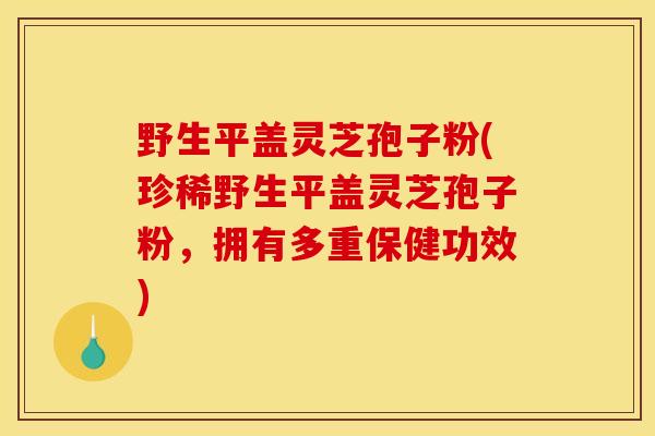野生平盖灵芝孢子粉(珍稀野生平盖灵芝孢子粉,拥有多重保健功效)