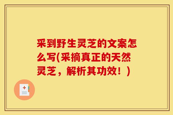 采到野生灵芝的文案怎么写(采摘真正的天然灵芝，解析其功效！)
