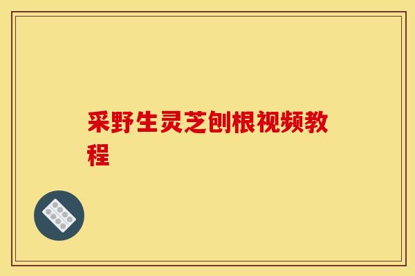 采野生灵芝刨根视频教程