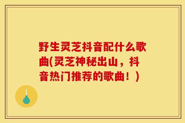 野生灵芝抖音配什么歌曲(灵芝神秘出山,抖音热门推荐的歌曲!)