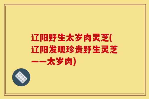 辽阳野生太岁肉灵芝(辽阳发现珍贵野生灵芝——太岁肉)