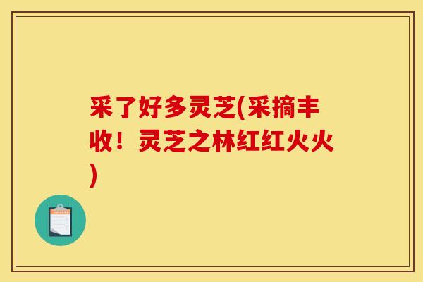 采了好多灵芝(采摘丰收!灵芝之林红红火火)