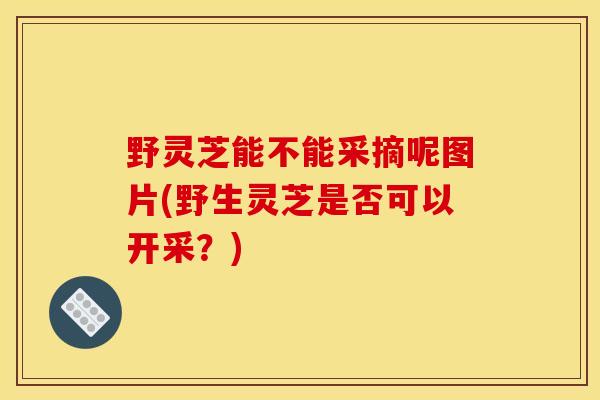 野灵芝能不能采摘呢图片(野生灵芝是否可以开采?)
