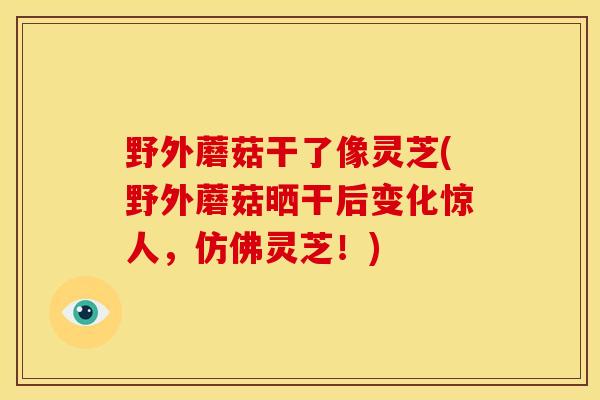 野外蘑菇干了像灵芝(野外蘑菇晒干后变化惊人,仿佛灵芝!)