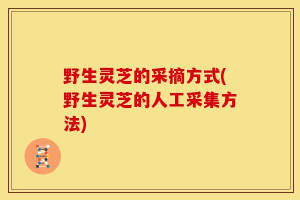 野生灵芝的采摘方式(野生灵芝的人工采集方法)
