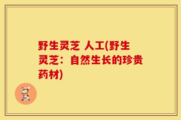 野生灵芝 人工(野生灵芝：自然生长的珍贵药材)